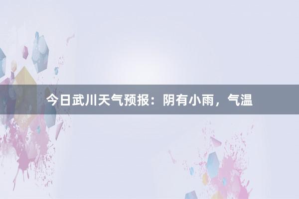 今日武川天气预报：阴有小雨，气温